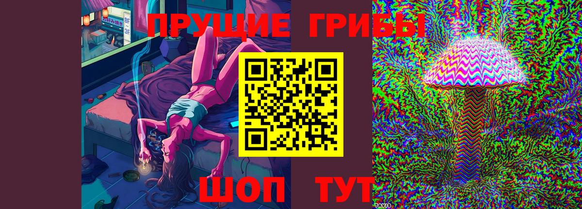 Псилоцибиновые грибы мицелий  Псилоцибиновые грибы Psilocybine cubensis  где найти наркотики  Вход с VPN  Добрянка 